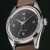 Omega Railmaster